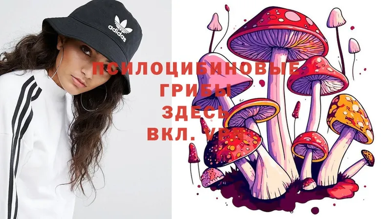 Псилоцибиновые грибы Magic Shrooms  Красногорск 